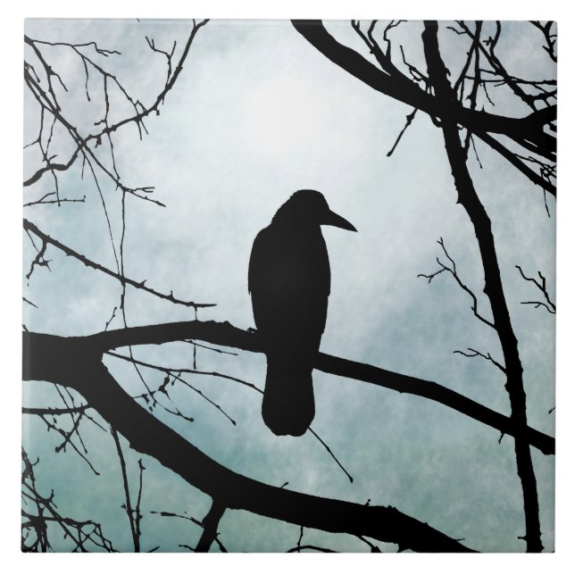 ave 77 Crow Raven (Frente)