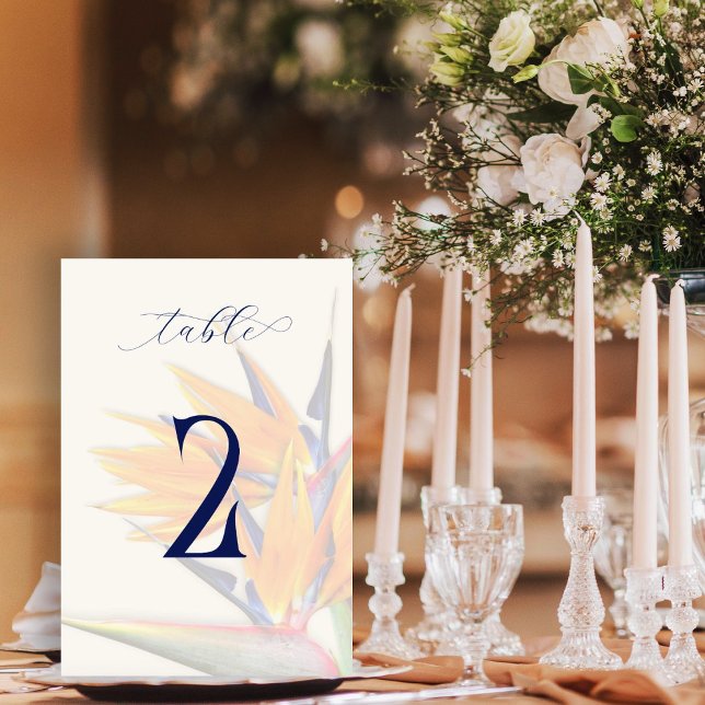 Ave de Cartões de Número de Tabela de Duplos Lados (Criador carregado)