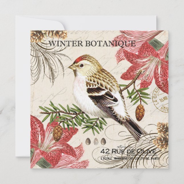 ave de inverno francês da antiga vintage (Frente)