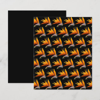 Ave de Paraíso Laranja em Papel Preto para Álbum d