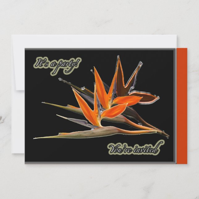 Ave do Convite de festas Floral do Paraíso (Frente)