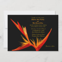 Ave do Convite do Paraíso