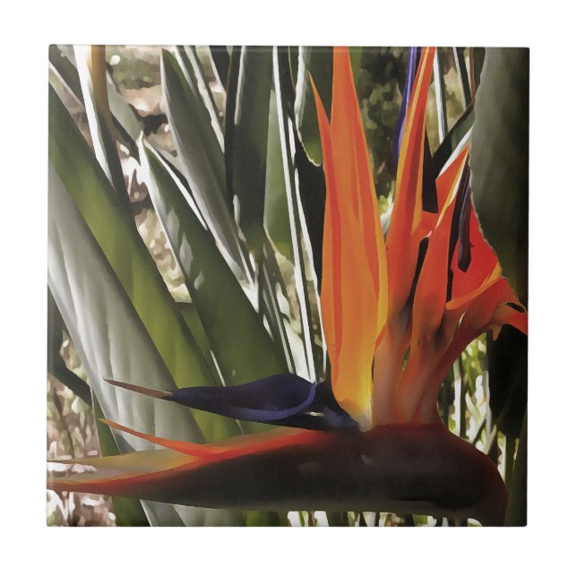 Ave do Paraíso Strelitzia Reginae - Painti acrílic (Frente)