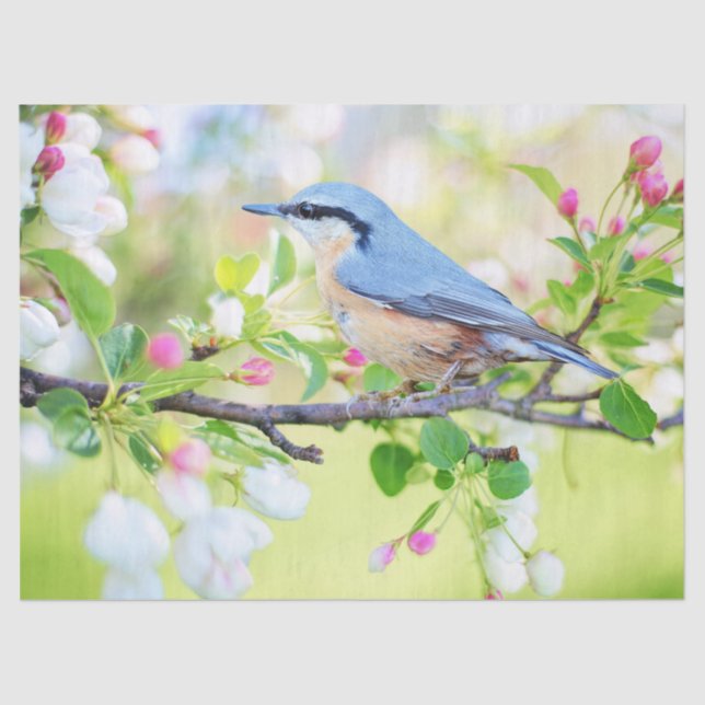 ave em papel de tecido primavera (Frente )