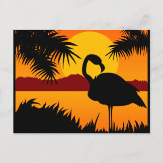Ave no cartão postal Sunset