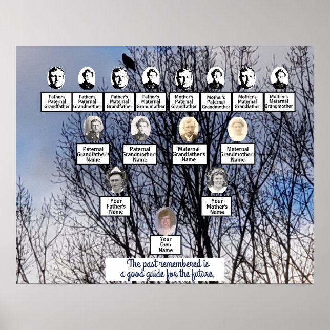 Ave no Poster da árvore da família de fotos da árv (Frente)