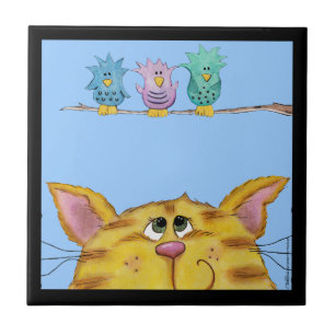 Ave Watcher-Cat Vigia Aves Acima