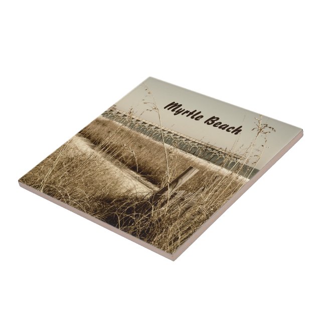 Aveia-do-mar nas dunas de Myrtle Beach (Lateral)