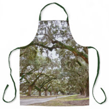 Avenida de Oaks, Carolina do Sul