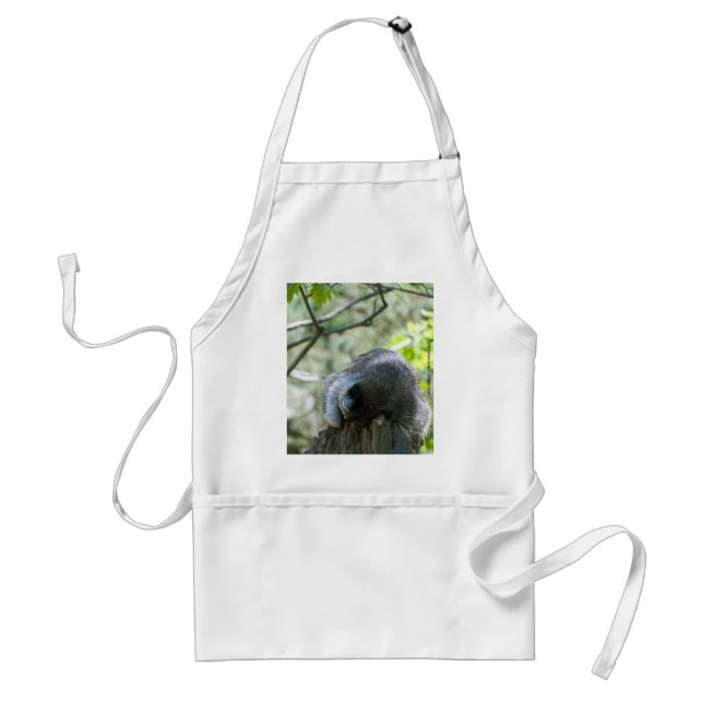 Aventais Sleeping Raccoon (Frente)