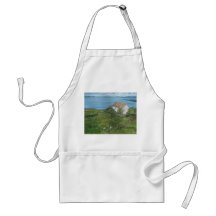 Apron, Irlanda