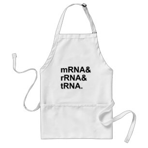 Avental ARNr mRNA Tipos de ARN
