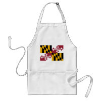 Bandeira do Estado de Maryland