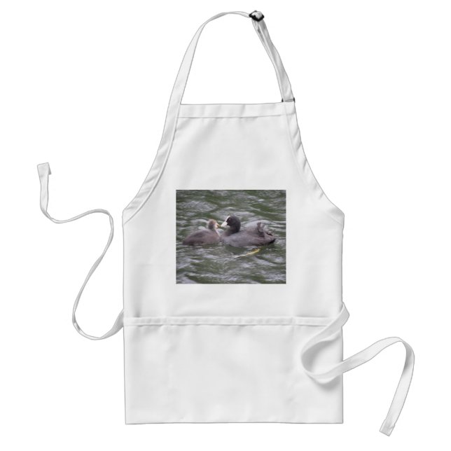Avental Coot Alimentando Pintinho Fome Apron (Frente)