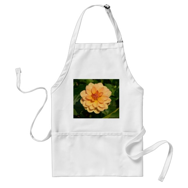 Avental Dahlia 'David Howard' (Frente)