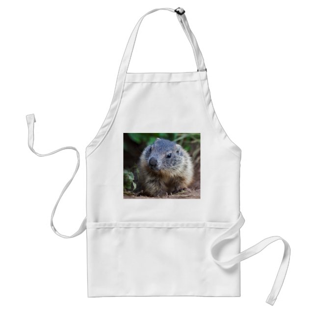 Avental de Bebê Marmota Curioso (Frente)