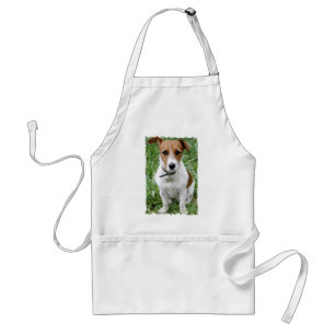 Avental de Jack Russell Terrier