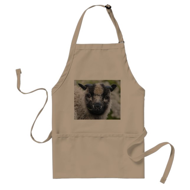 Avental de Lambster (Frente)