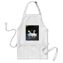 Dois Cisnes E Um Pato