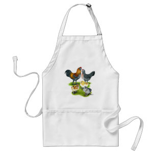 Avental Família Ameraucana de frango