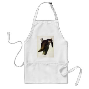 Avental Fisher (Penant's Marten ou Cat Fisher) por Audubon