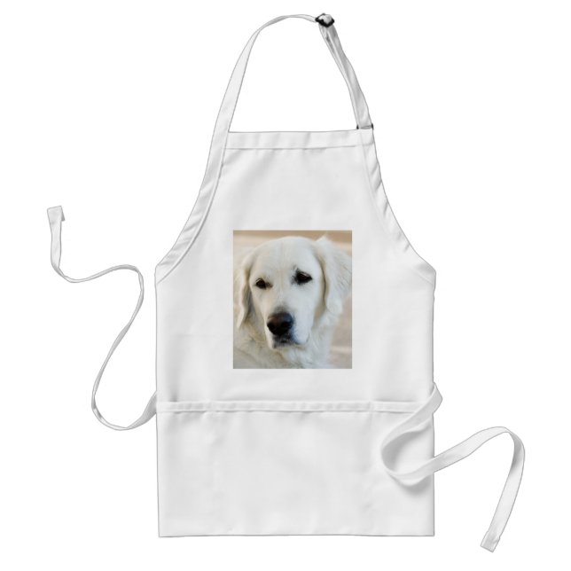 Avental Golden retriever (Frente)