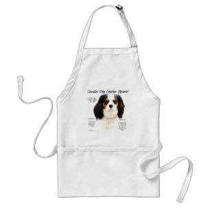 Avental História do Cavaleiro Rei Charles Spaniel (tricolo