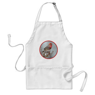 Avental House Finch in Snow - Foto original