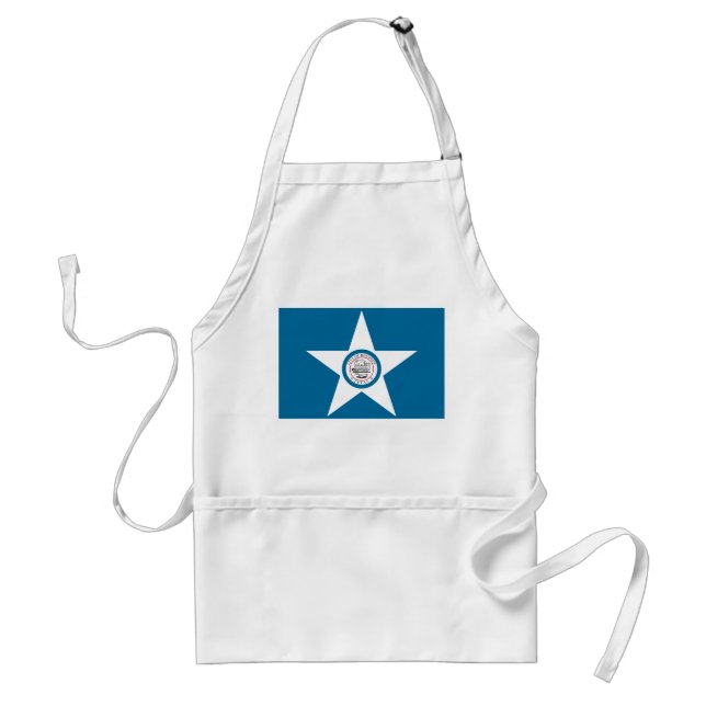Avental Houston Flag (Frente)