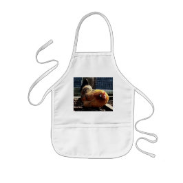 Avental Infantil Frango laranja