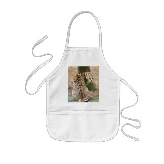 Avental Infantil geoffroy-cat-004