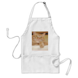 Avental Orange Tabby Cat