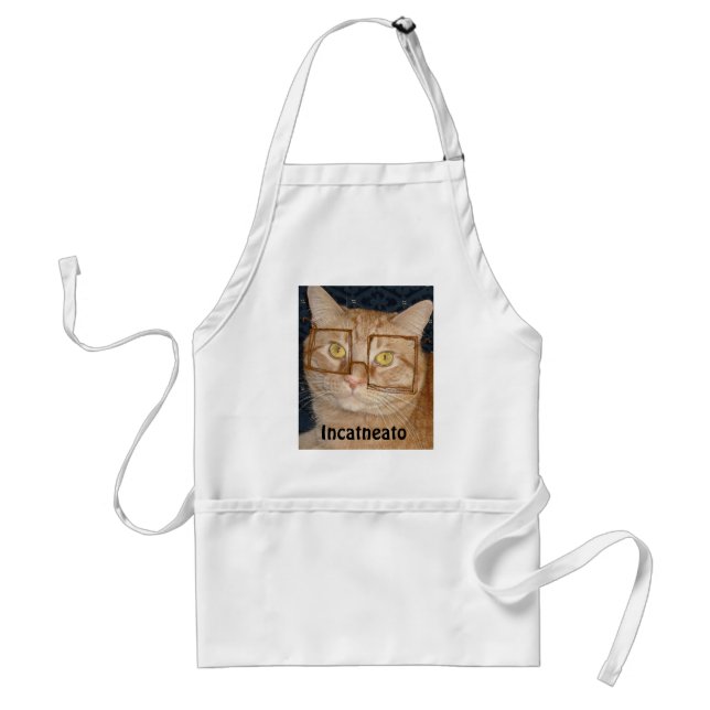 Avental Orange Tabby Cat/Incognito (Frente)