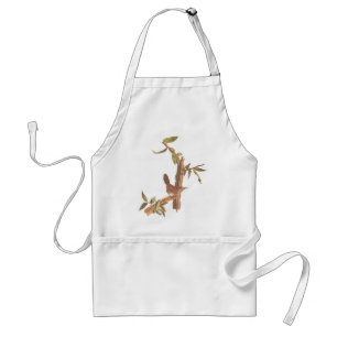 Avental Pássaro de cauda longa da carriça do Bewick de