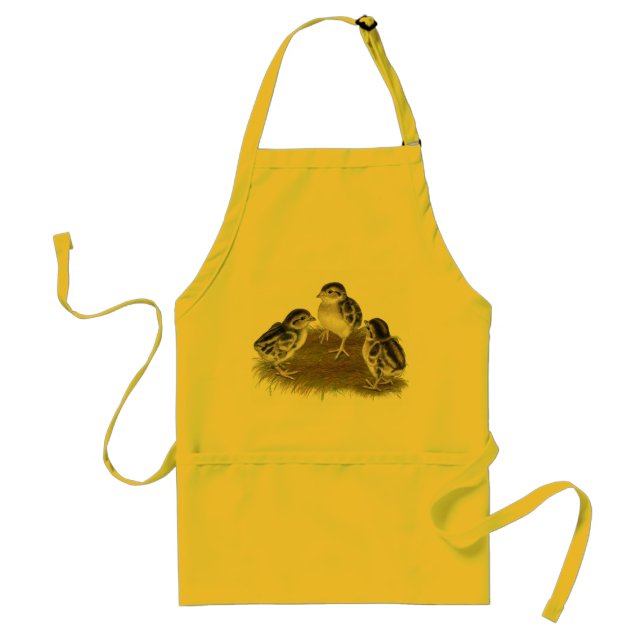 Avental Pintinhos de Chukar Partridge (Frente)