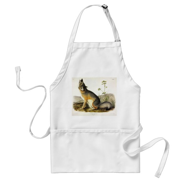 Avental Raposa Swift (Vulpes Velox) dos Quadrupeds de Audu (Frente)