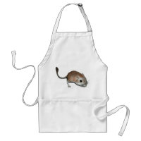 Rato de canguru