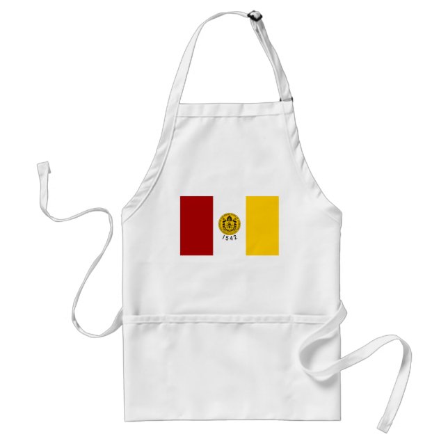 Avental San Diego Flag (Frente)