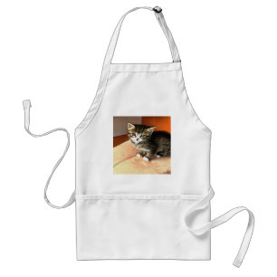 Avental Tabby Cat Kitten Retrato