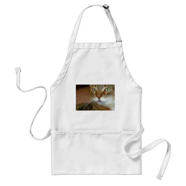 Avental Tabby Cat Love (Frente)