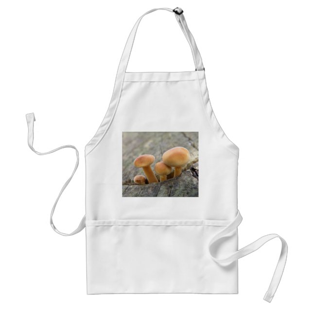 Avental Toadstools em um tronco de árvore Apron (Frente)