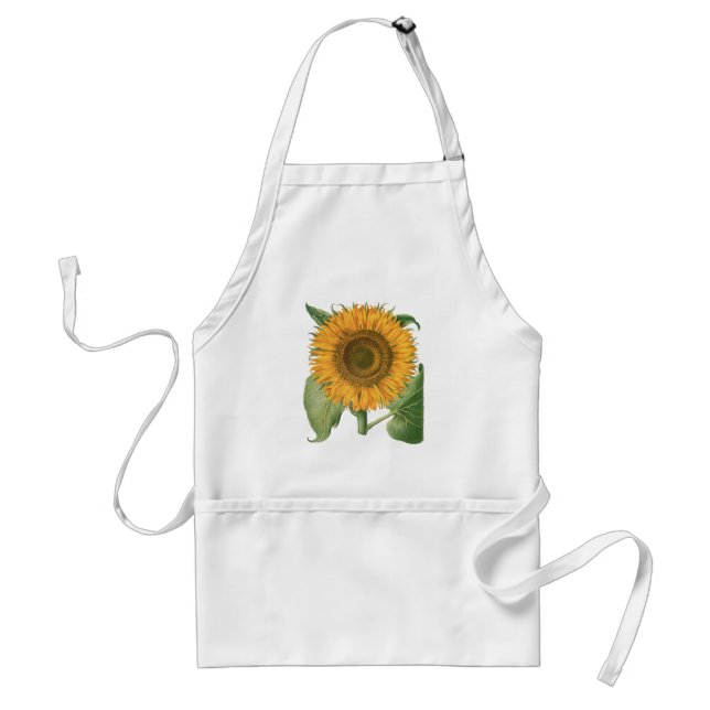 Avental Vintage Sunflower Flower por Basilius Besler (Frente)