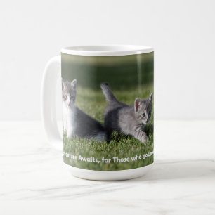 Aventura aguarda a caneca de gato