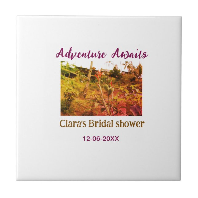 Aventura em campos de arroz aguarda nome da desped (Frente)