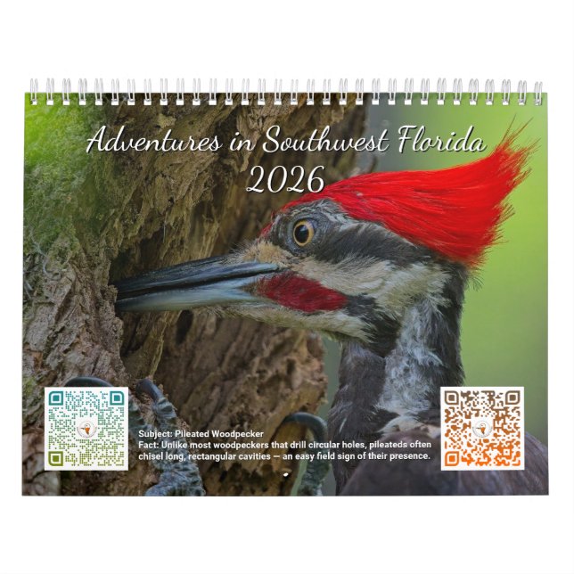Aventuras de 2026 no Calendário do Sudoeste da Fló (Capa)
