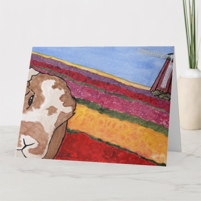 Aventuras de Coconut: Cartão Saudável de Maio 8,5" (Frente)