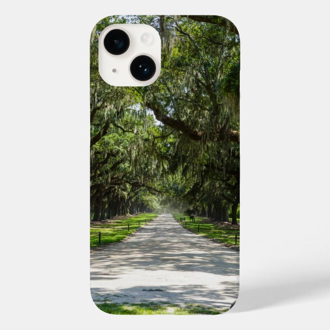 Avenue Of Oaks (Verso)