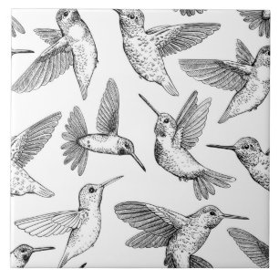 Aves