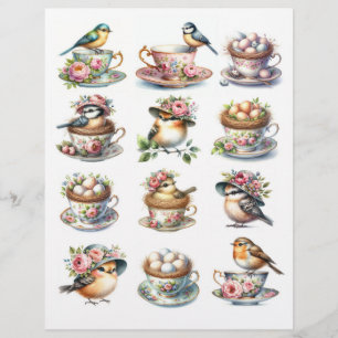 Aves bonito de Aquarela em Chapéus Empoleirados em