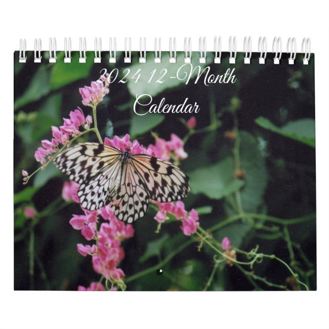 Aves, Borboletas e Calendário de 12 Meses 2024 (Capa)
